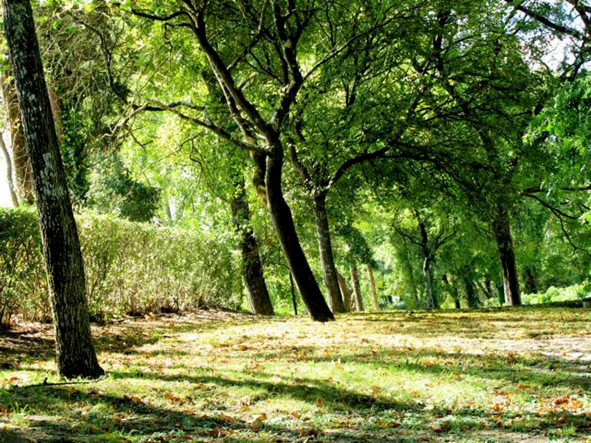 Quinta Do Sanguinhal Villa Rio Maior Buitenkant foto