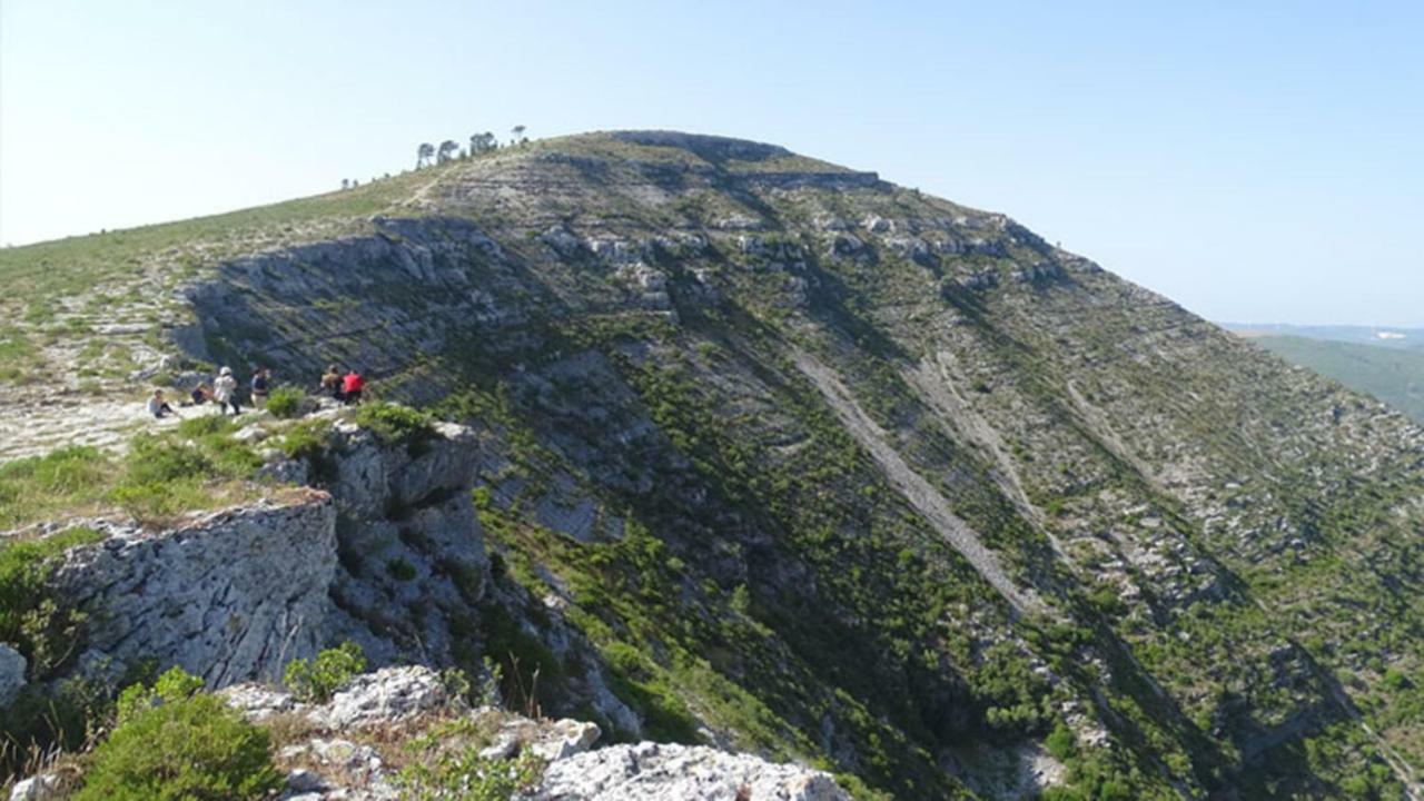 Quinta Do Sanguinhal Villa Rio Maior Buitenkant foto